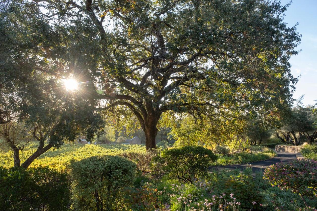Wine Country Inn Napa Valley St. Helena Dış mekan fotoğraf