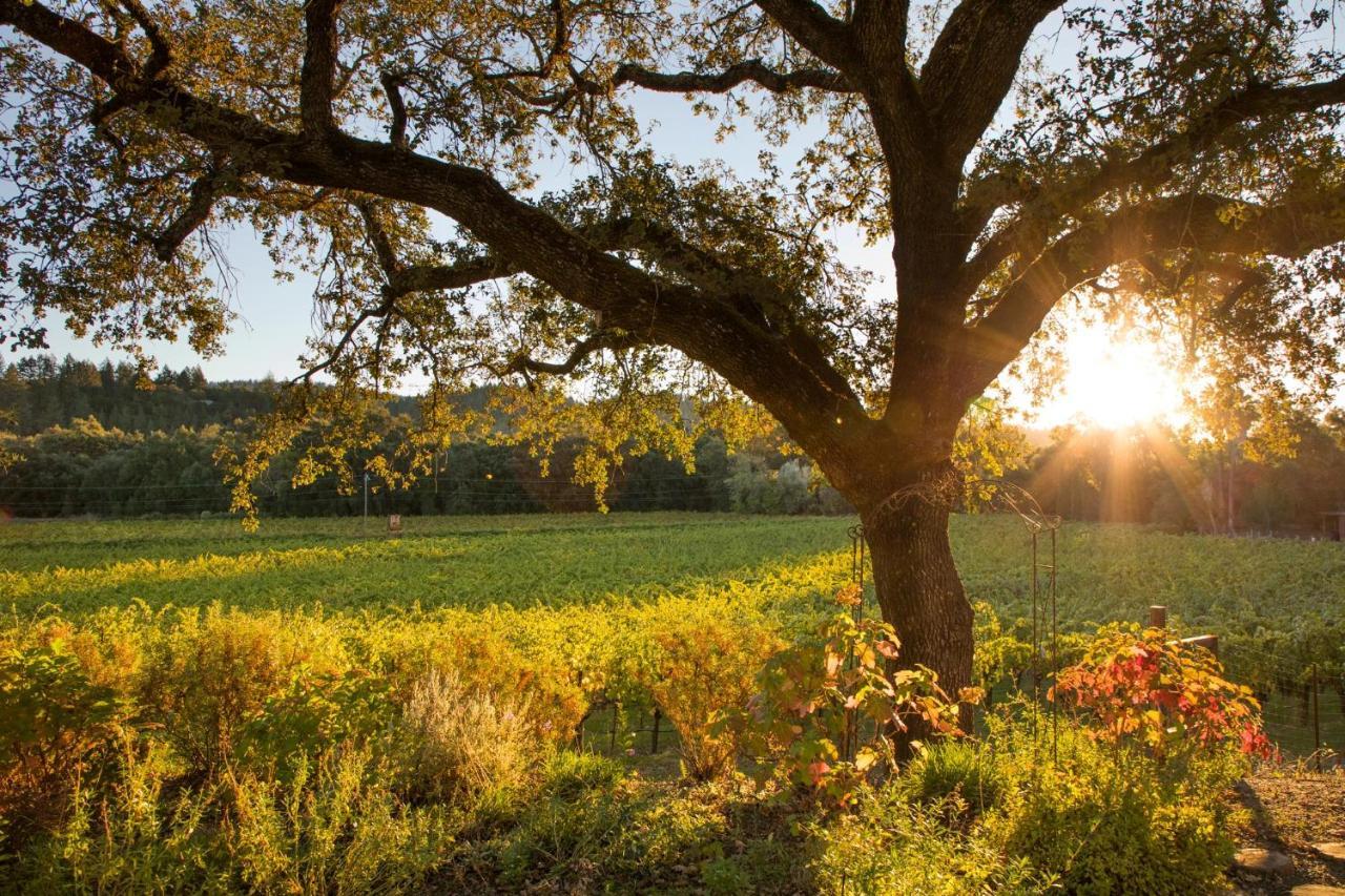 Wine Country Inn Napa Valley St. Helena Dış mekan fotoğraf